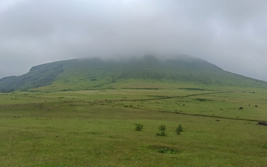 Kaliamali Hilltop